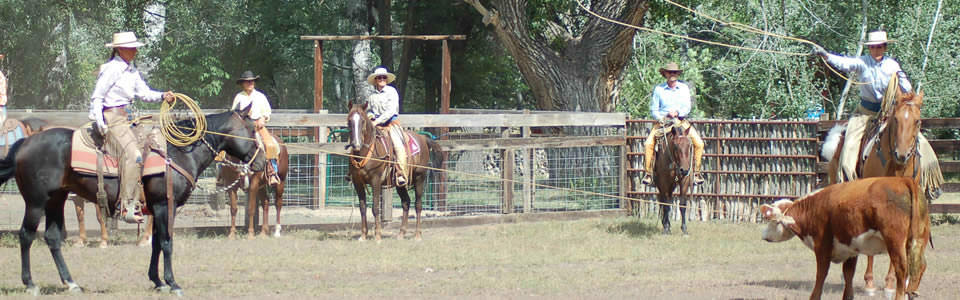 Customer Stories: Ranch Yurt on Colorado High Plains