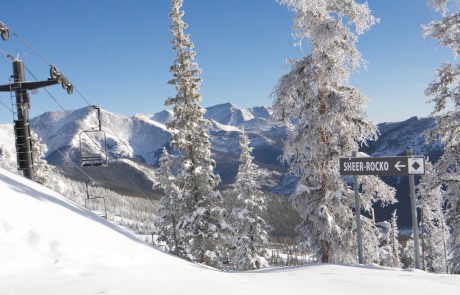 Snow-covered trees at a ski area