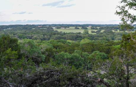 Wooded hillside with distant countryside