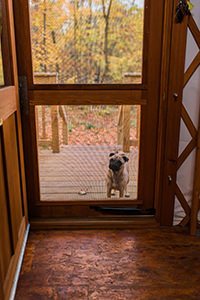 View through a yurt doorway toward a wooded deck