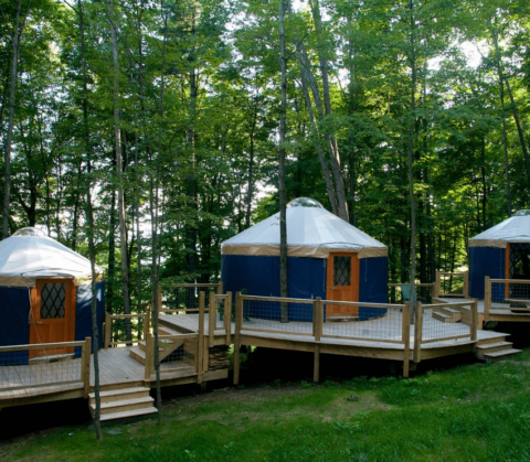 Yurts on shared decks among trees