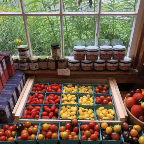 Fresh tomatoes arranged beside a window