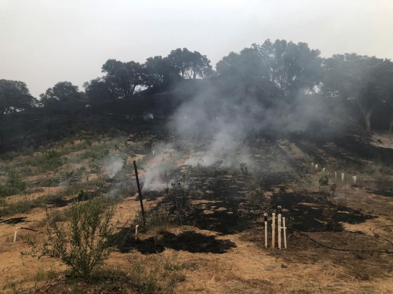 Smoke rising near trees and a platform