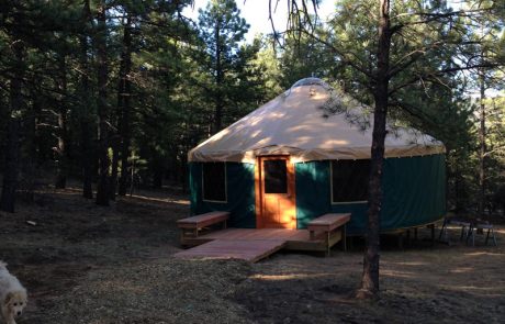 Yurt with a sunlit open doorway