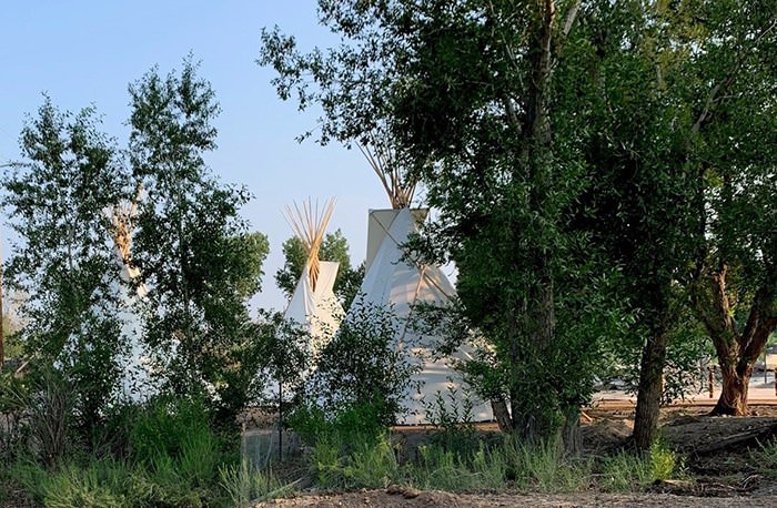 Yurt framed by trees