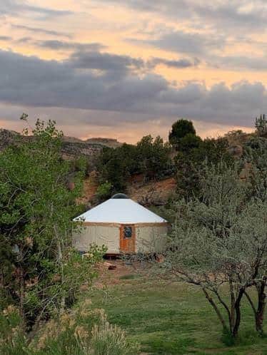 Yurt surrounded by woodland
