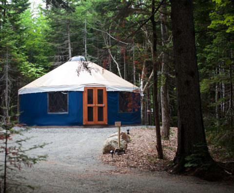 Blue yurt on a platform among trees