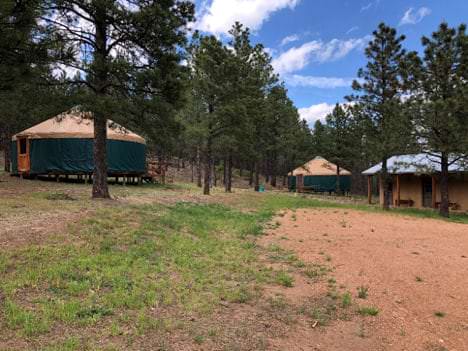 Several yurts spaced among trees