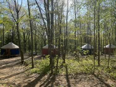 Wooded grounds with a yurt in the distance