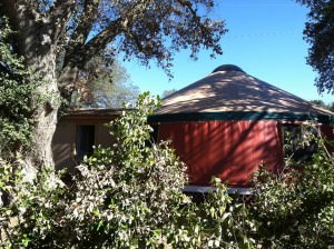 yurt2